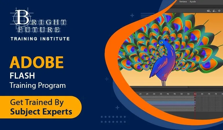 Adobe Flash Training — Bright Future Training Institute