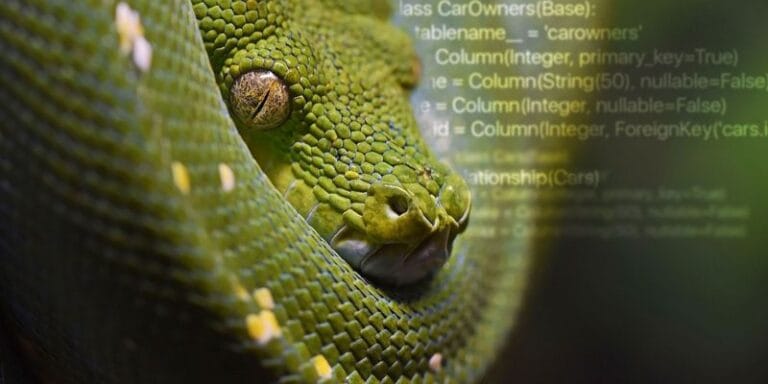 Why Python is the Best Programming Language for New Programmers